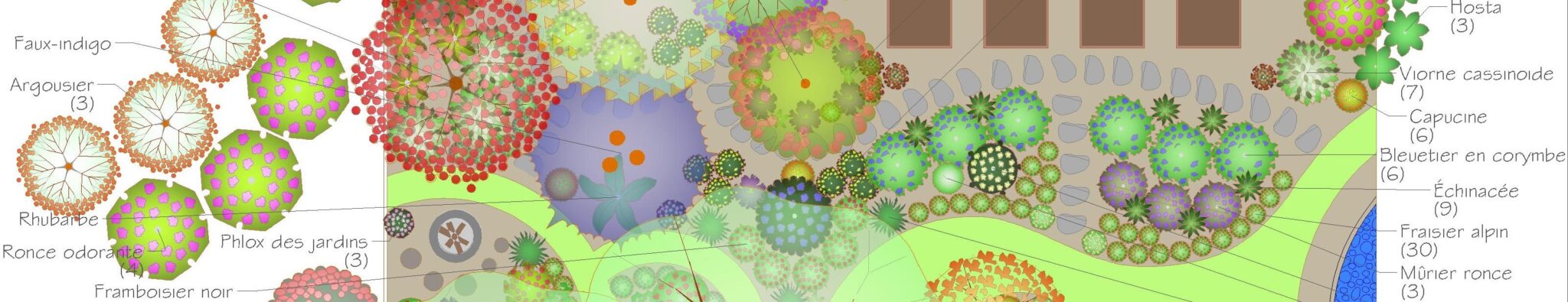 Aménagement-paysager-comestible-entretien minimal-plan-plante-vivaces-projet