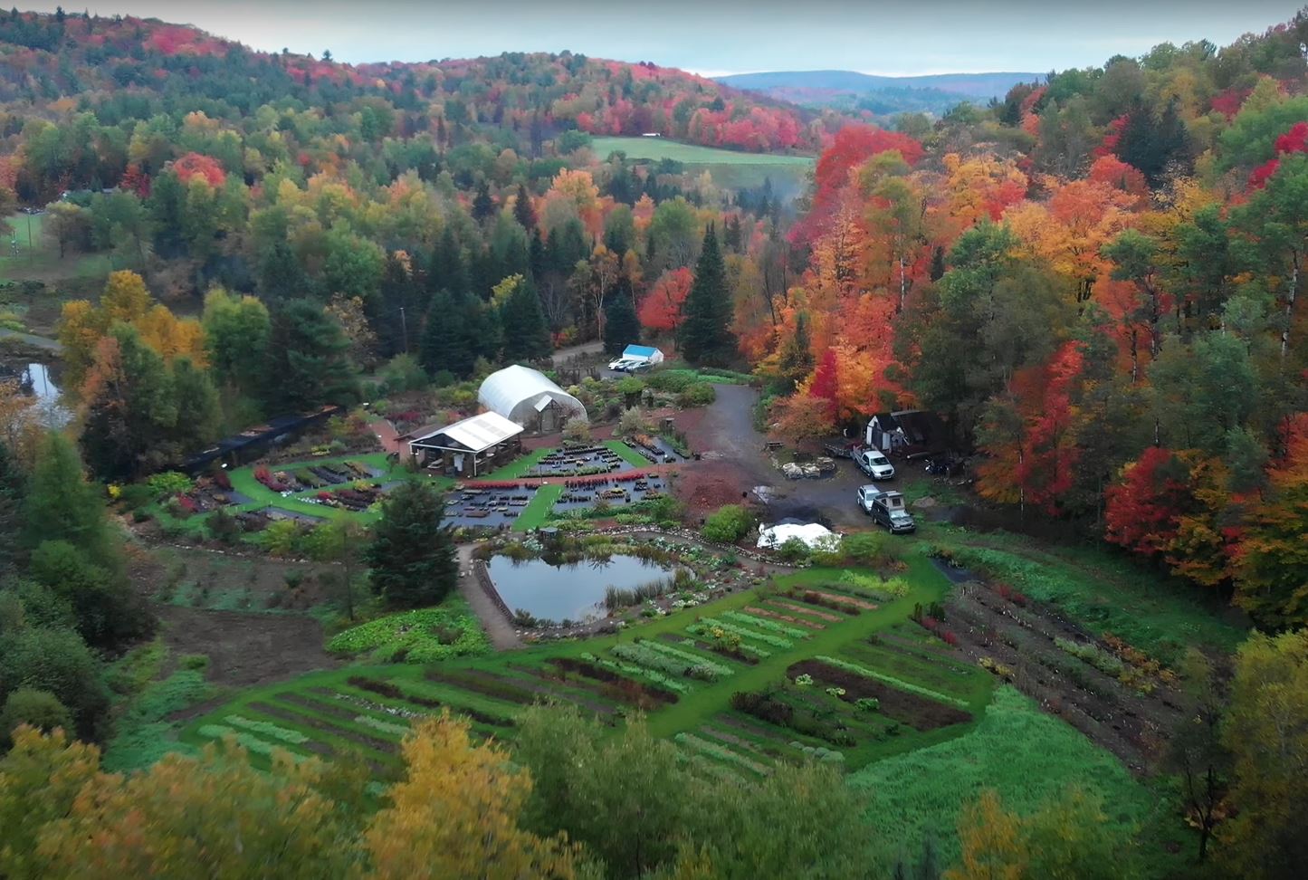Partenariat. Pépinière vue aérienne. Automne