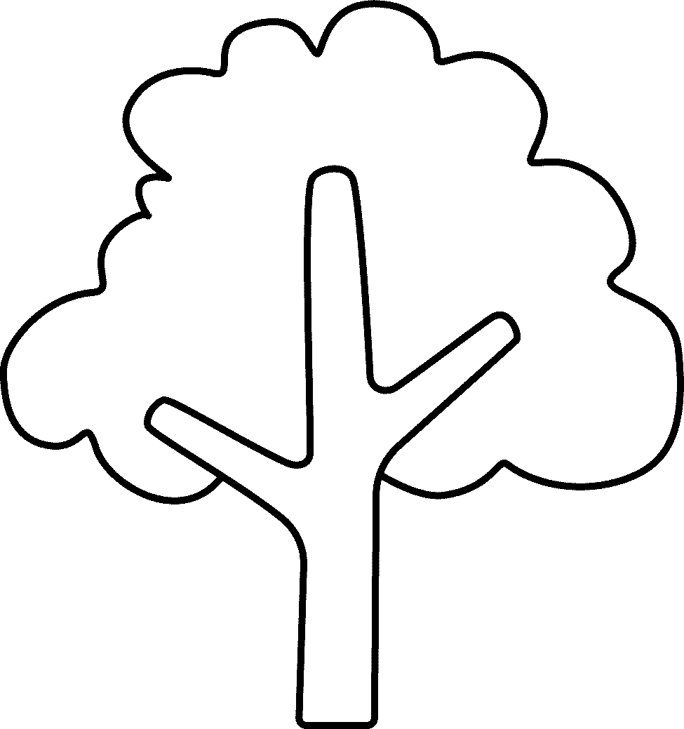 Catégorie arbres