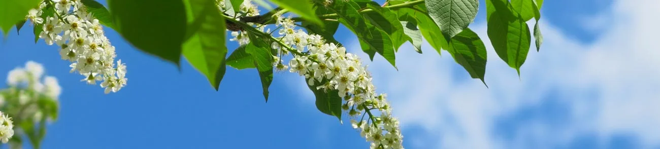 contact, procédure d'achat